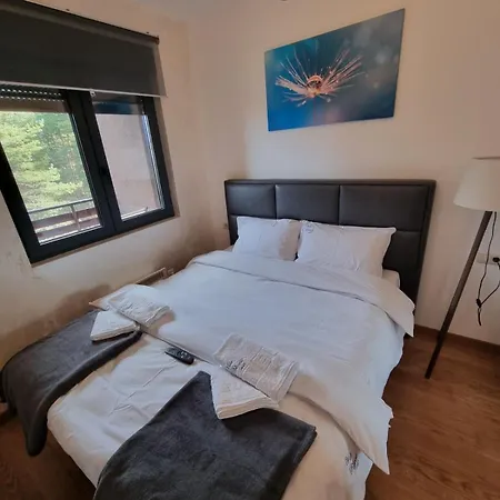 Pekovic Blue A17 Sa Garazom-zlatibor * Zlatibor