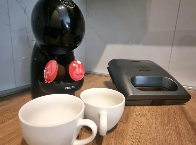 Pekovic Blue A17 Sa Garazom-zlatibor 公寓 兹拉蒂博尔