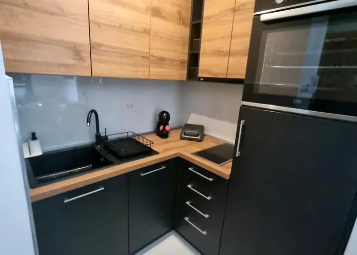 Apartment Pekovic Blue A17 Sa Garazom-zlatibor *