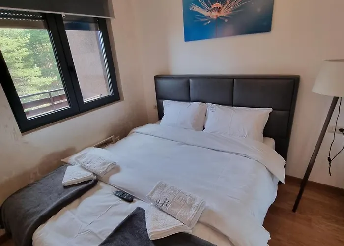 Pekovic Blue A17 Sa Garazom-zlatibor * Zlatibor